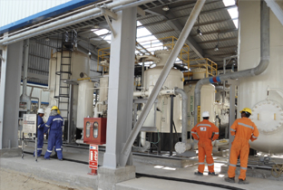 Sam Gas Plants